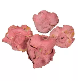 Szárított kókuszvirág – Bordó 4-6 cm 3 db