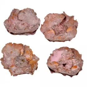 Szárított kókuszvirág – old pink 3 db