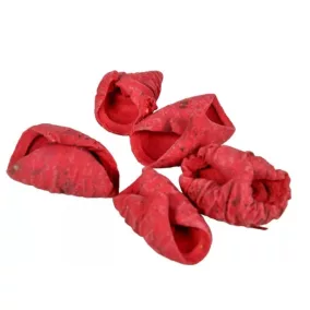   Szárított dísznövény "Lali" 2-4 cm – Piros 10 db