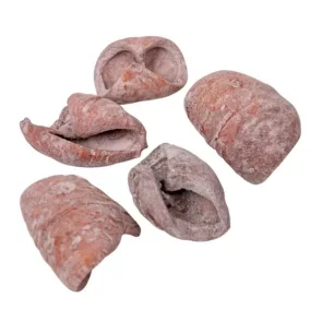   "Lali" díszes szárított 2-4 cm - poros rózsaszín 10 db