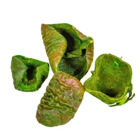 "Lali" díszes szárított 2-4 cm - zöld 10 db