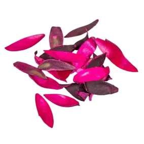 Szárított liliomszirom – pink (20 db/csomag)