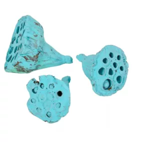 Kis lotus– aqua (4–6 cm,3 db/csomag)