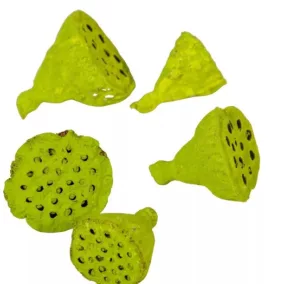 Mini lotus– olajzöld (1,5–3 cm, 3 db/csomag)