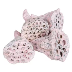 Mini lotus– rózsaszín (1,5–3 cm, 5 db/csomag)