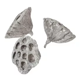 Dekoratív lótusz – Ezüst (5–8 cm, 2 db/csomag)