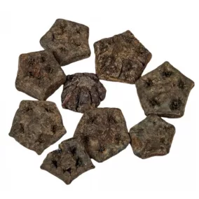   Szárított Mehogany Szelet – Szürke (2–3,5 cm, 5 db/csomag)