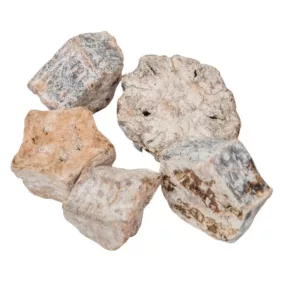   Szárított Mehogany Szelet – Fehér (2–3,5 cm, 5 db/csomag)