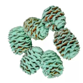   "Meridianum" mini száraz toboz– aqua (1–2,5 cm, 5 db/csomag)