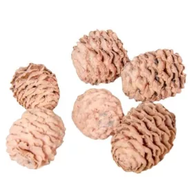   Meridianum mini szárított toboz – lazac színű (2-3 cm, 5 db/csomag)