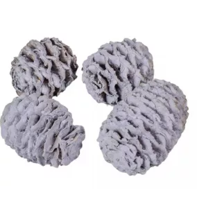   Meridianum mini szárított toboz – világoslila (2-3 cm, 5 db/csomag)