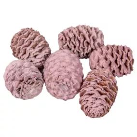   Meridianum mini szárított toboz– mályva színű (2-3cm, 5 db/csomag)