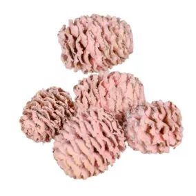   Meridianum mini szárított toboz – rózsaszín (2-3 cm, 5 db/csomag)