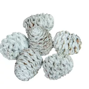   Meridianum mini szárított toboz – akvakék (2-3 cm, 5 db/csomag)