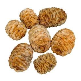   Meridianum mini szárított toboz – krém (2-3  cm, 5 db/csomag)