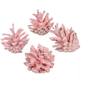   Szárított rózsatoboz – rózsaszín (4–5 cm, 3 db/csomag)