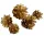 Szárított toboz – Arany (4–5 cm, 3 db/csomag)