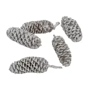   "Birch pine" mini szárított toboz – ezüst (2–3 cm, 20 db/csomag)