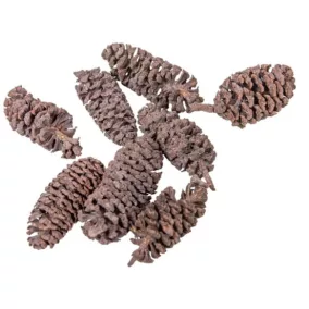   Mini szárított Birch pine toboz – vintage rózsaszín (2–3 cm, 20 db/csomag)