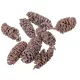 Mini szárított Birch pine toboz – vintage rózsaszín (2–3 cm, 20 db/csomag)