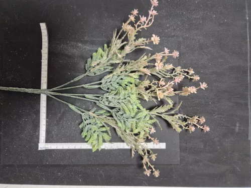 25 cm-es zöld bokor apró barackvirág színű virágokkal – zöld lombozat virágdíszekhez