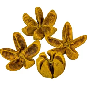 Szárított vadnarancs okker színű 4-8 cm