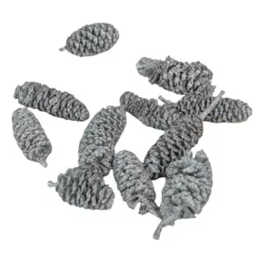   Szárított dísztobok "indiai égerfa" - ezüst, 2–4 cm, 20 darab