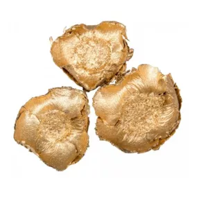 Szárított kókuszvirág – Arany, 4–6 cm, 3 darab