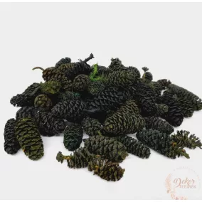   "Birch pine" mini szárított toboz - fekete, 2–3 cm, 20 darab/csomag