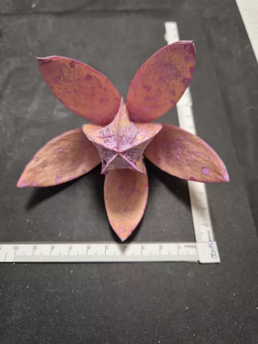 "Wild Lili" rózsaszín szárított virág – 5–8 cm 1 db | természetes virágdísz