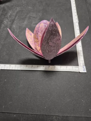 "Wild Lili" rózsaszín szárított virág – 5–8 cm 1 db | természetes virágdísz