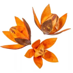   "Wild Lili" narancssárga szárított virág – 5–8 cm 1 db | élénk díszítőelem