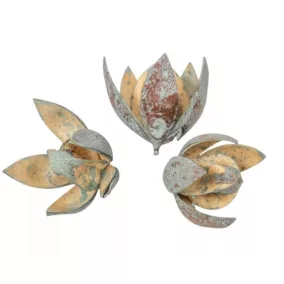   "Wild Lili" szárított virág halványzöld – 5–8 cm 1 db | természetes dekoráció virágkompozíciókhoz