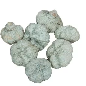   Mini díszfokhagyma – világos szürke (2-3 cm, 5 db/csomag)