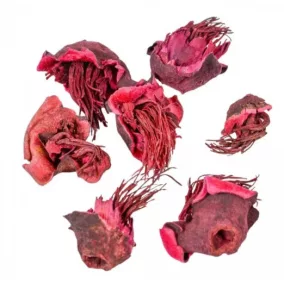   "Zem" díszes padlizsánszín - szárított növényi dekoráció modern virágkompozíciókhoz, 2-4 cm 20 db