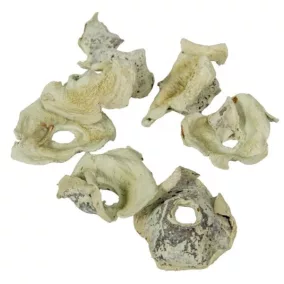   Halványzöld dekoratív "Zem" - természetes szárított elem öko dekorációhoz, 20 db