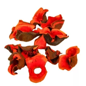   Dekoratív narancssárga gumicukor – szárított növényi elem szezonális dekorációhoz, 2-4 cm 20 db