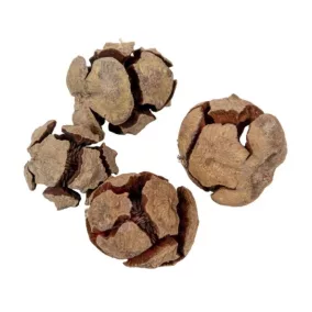   Barna díszes ciprustoboz – szárított növényi elem 2–3 cm | 3 db/csomag